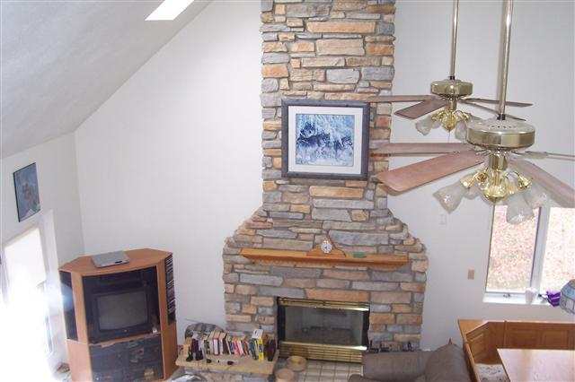 9293 West Diggin Hill Road Hanover, IL 61041 - Photo 15 of 19 a living room with furniture and a fireplace