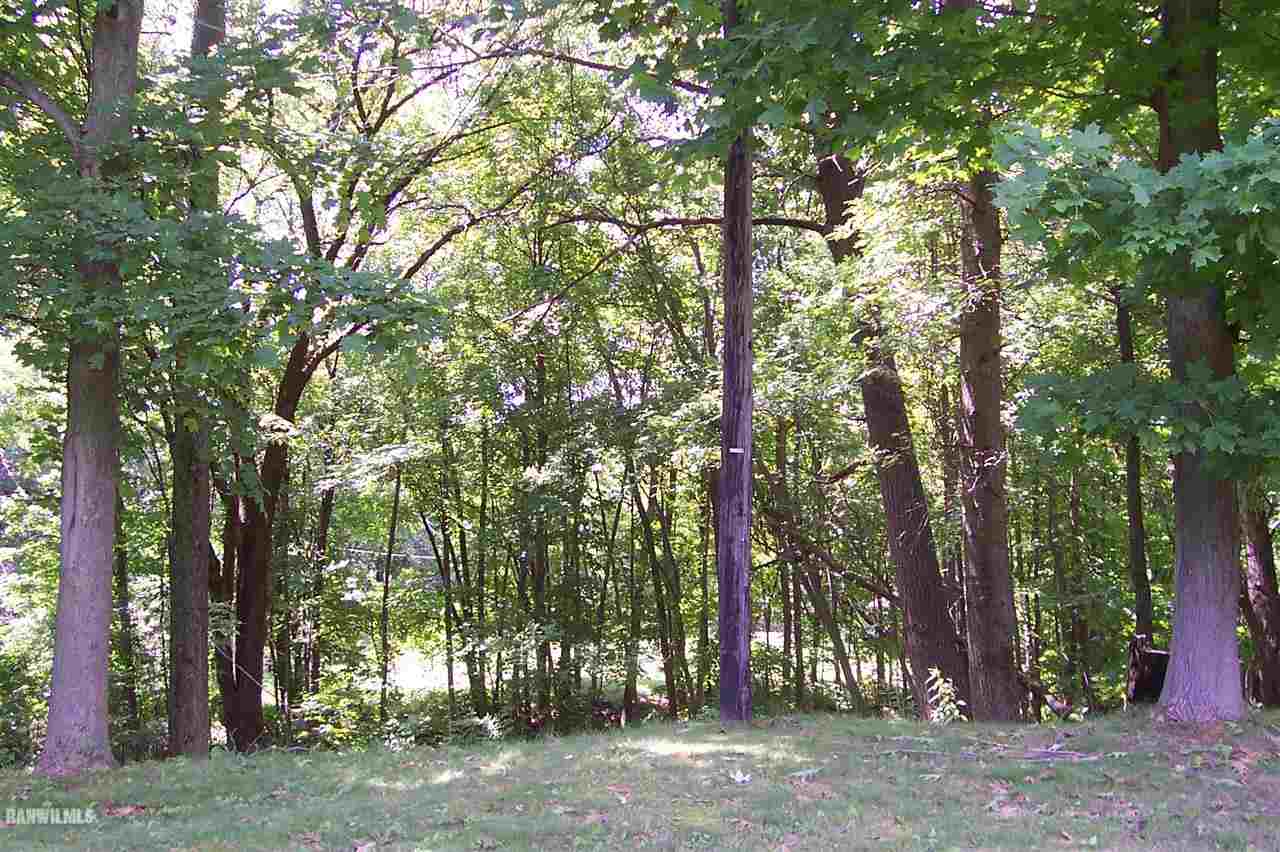 9293 West Diggin Hill Road Hanover, IL 61041 - Photo 8 of 19 a view of road with trees