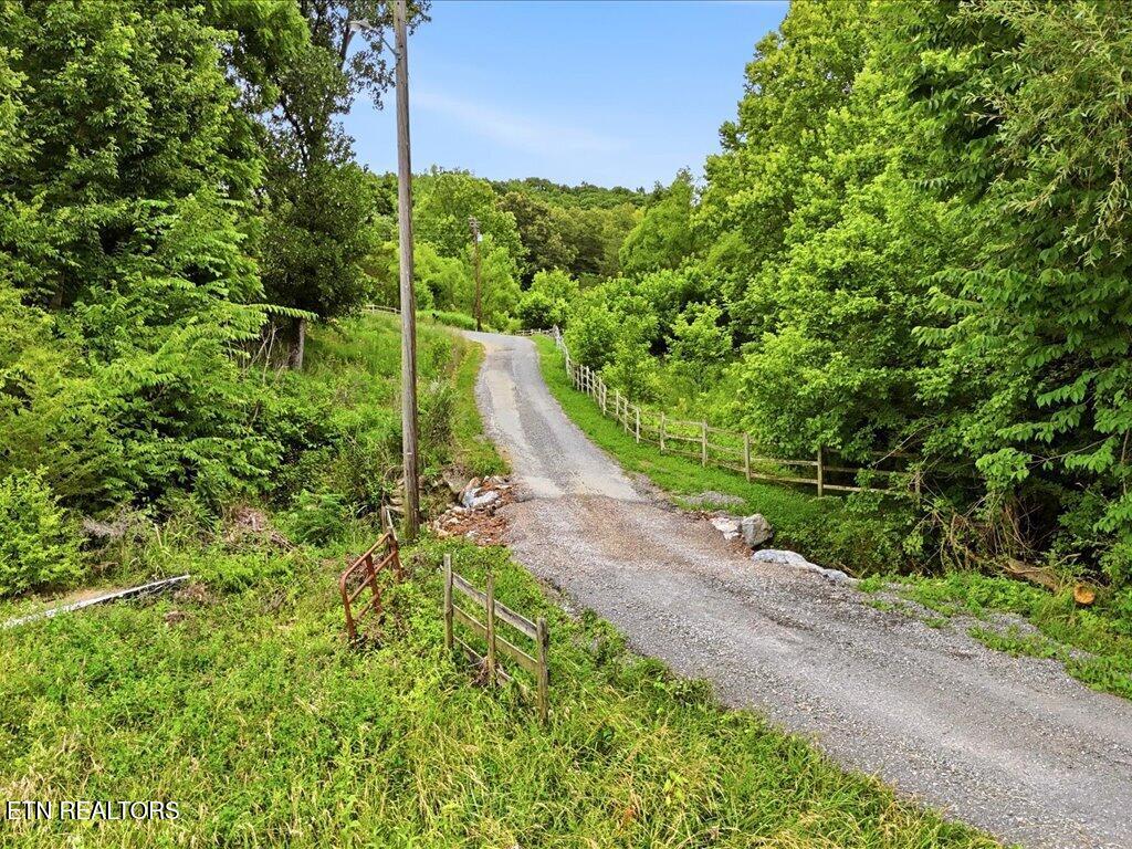 0 Appian Road Bybee, TN 37713 - Photo 14 of 29 Appian Way - 14