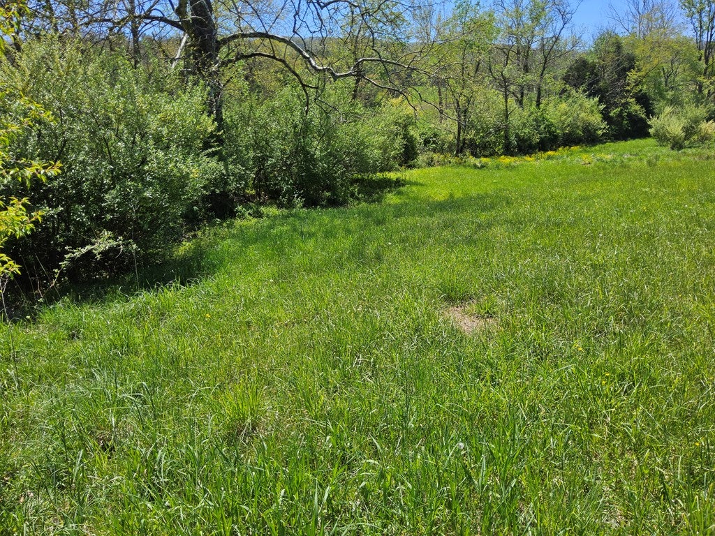 Tbd Spur Branch Road, Unit 3 Dublin, VA 24084 - Photo 9 of 13 Gallery Image 9