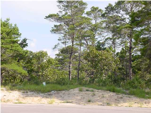 Lot 20 Spotted Dolphin Santa Rosa Beach Santa Rosa Beach, FL 32459 - Photo 1 of 3 a view of a yard