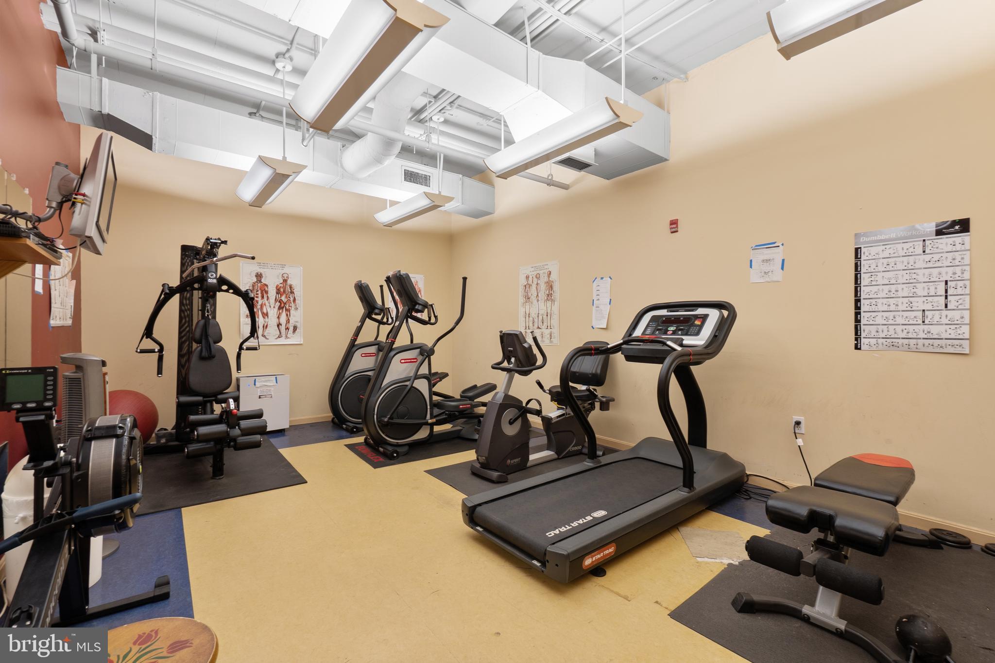 7981 Eastern Avenue Northwest, Unit 219 Silver Spring, MD 20910 - Photo 37 of 45 Common fitness room