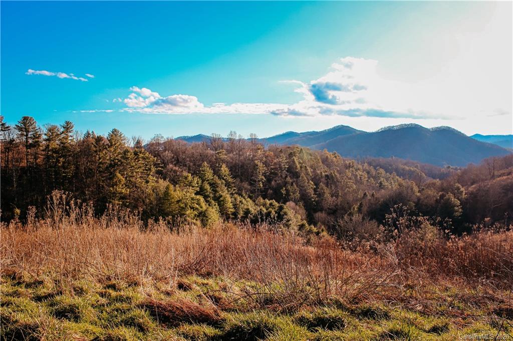 9999 Sandy Bottom Road Marshall, NC 28753 - Photo 11 of 33 Gallery Image 11