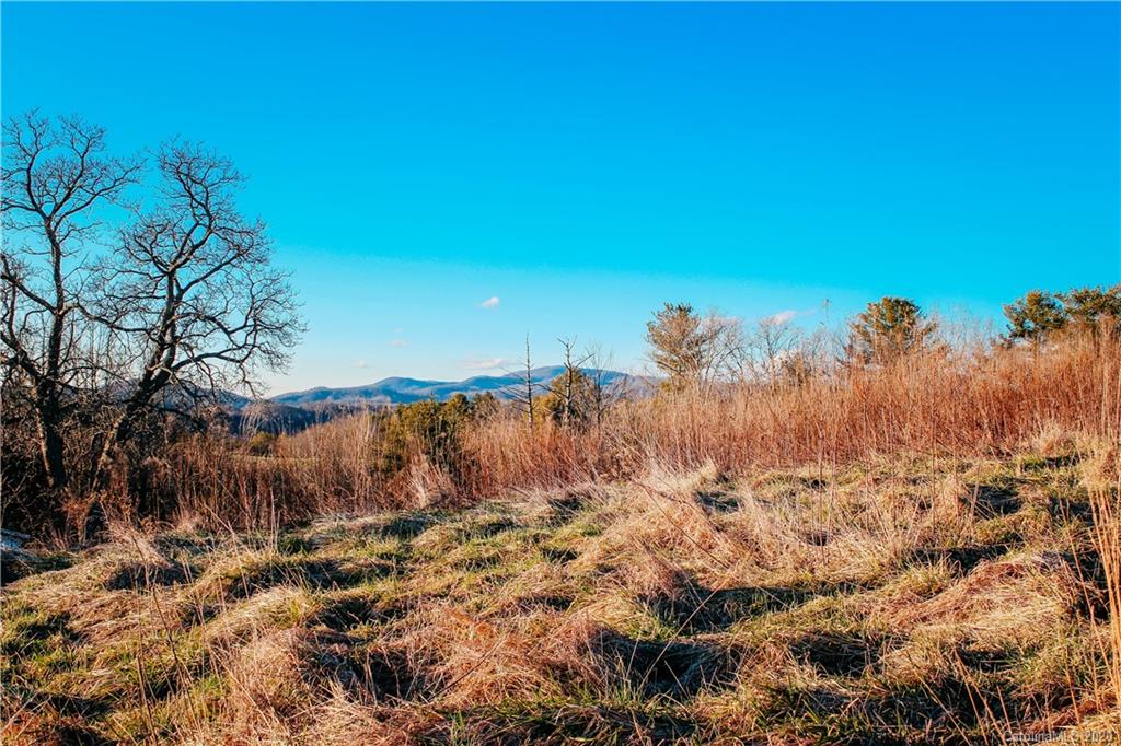 9999 Sandy Bottom Road Marshall, NC 28753 - Photo 25 of 33 Gallery Image 25