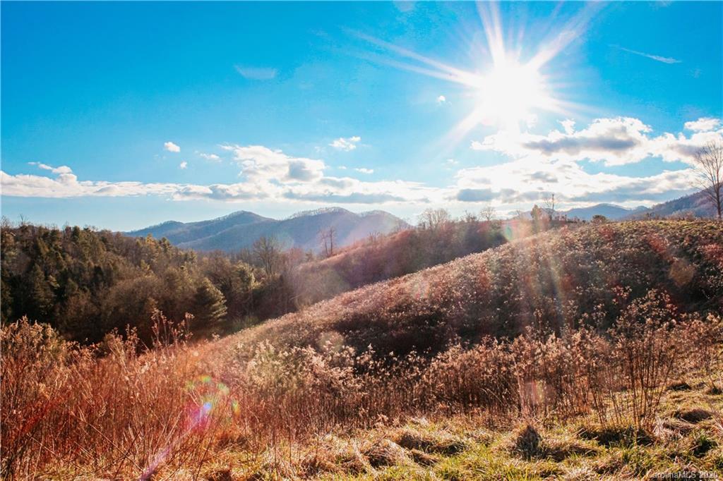 9999 Sandy Bottom Road Marshall, NC 28753 - Photo 10 of 33 Gallery Image 10