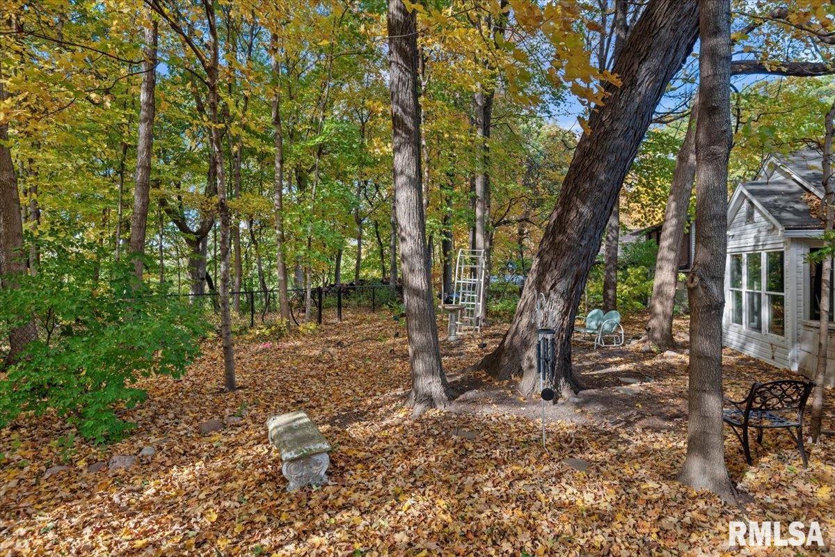 929 Roanoke Drive Springfield, IL 62702 - Photo 40 of 48