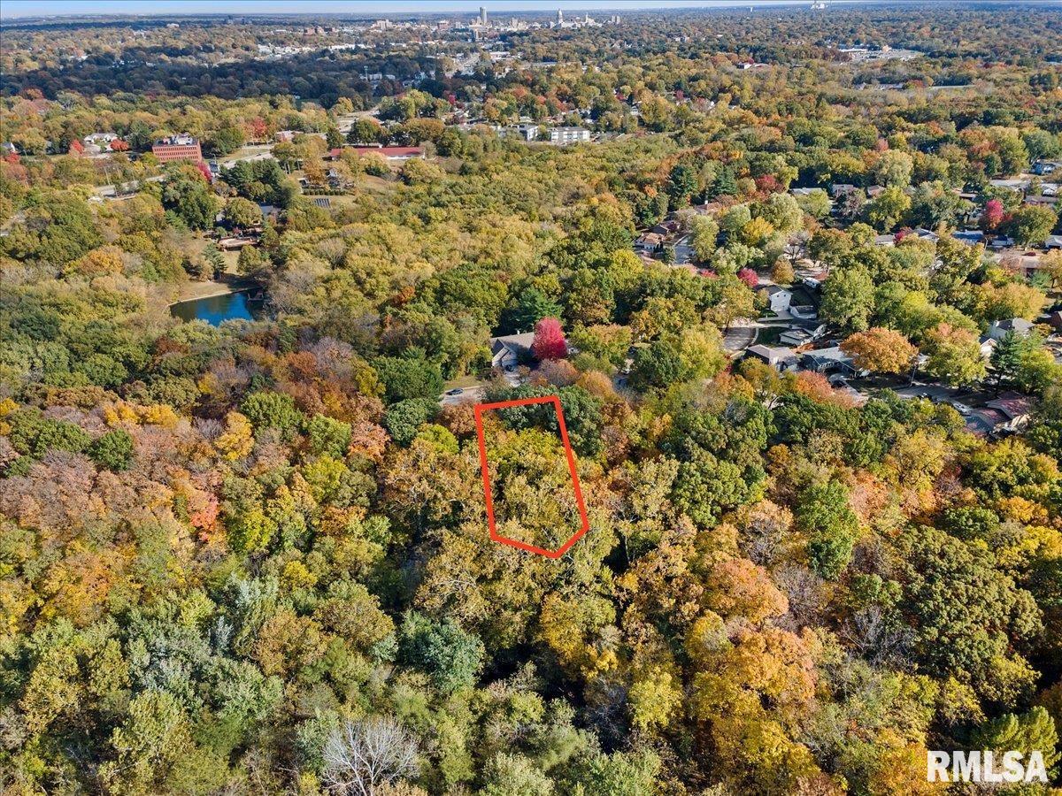 929 Roanoke Drive Springfield, IL 62702 - Photo 47 of 48