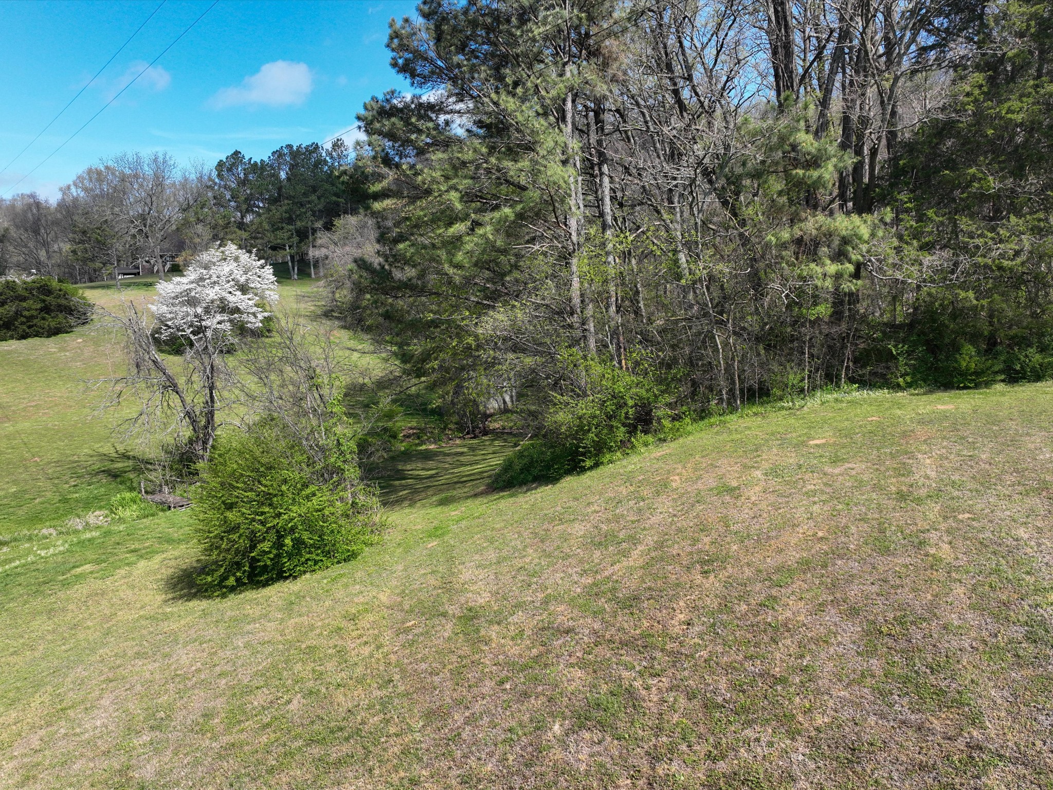 1454 Johnson Road Lewisburg, TN 37091 - Photo 53 of 84
