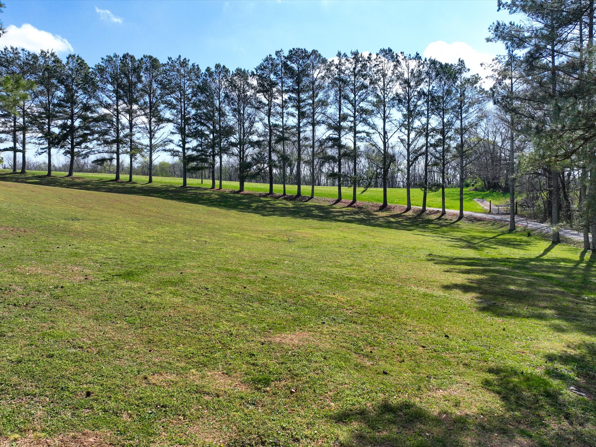 1454 Johnson Road Lewisburg, TN 37091 - Photo 65 of 84