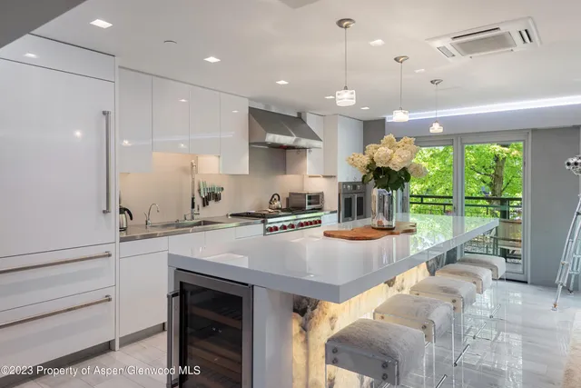 $50,000 | 555 East Durant Avenue, Unit 2L, Aspen, CO 81611