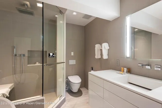 $50,000 | 555 East Durant Avenue, Unit 2L, Aspen, CO 81611