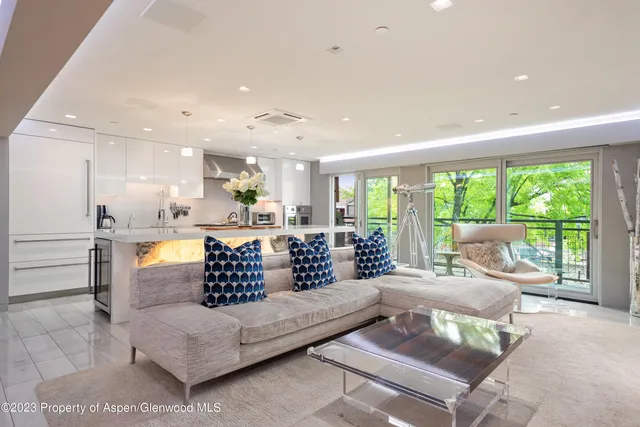 $50,000 | 555 East Durant Avenue, Unit 2L, Aspen, CO 81611