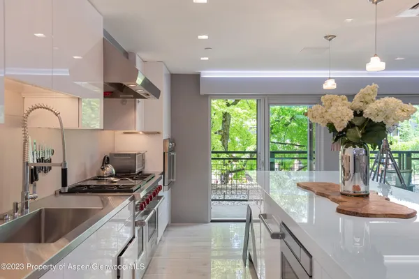 $50,000 | 555 East Durant Avenue, Unit 2L, Aspen, CO 81611