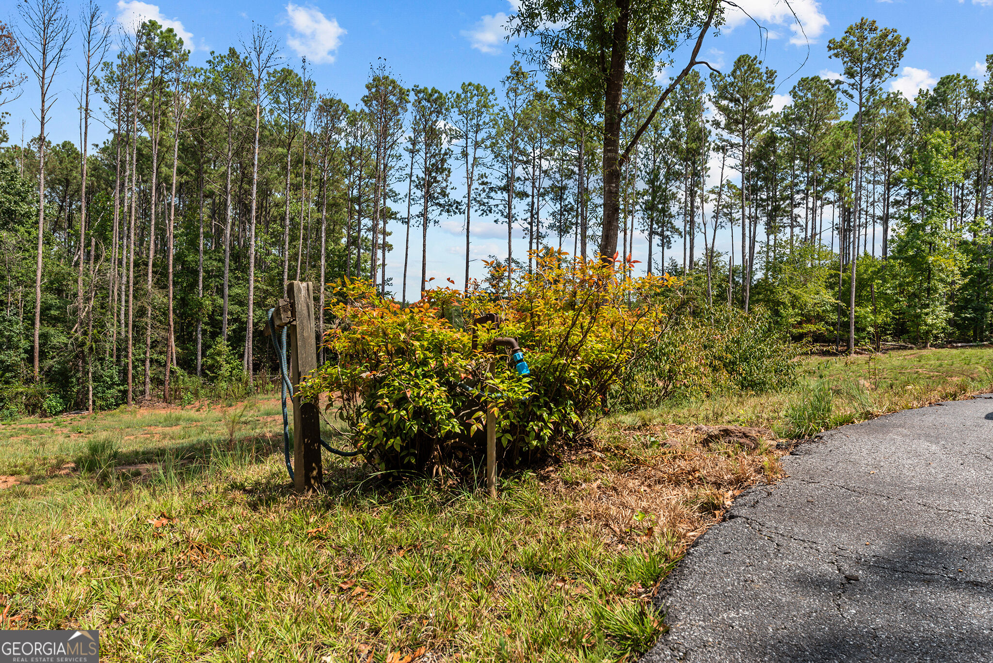 499 Double Branch Road Danielsville, GA 30633 - Photo 42 of 42 Gallery Image 42