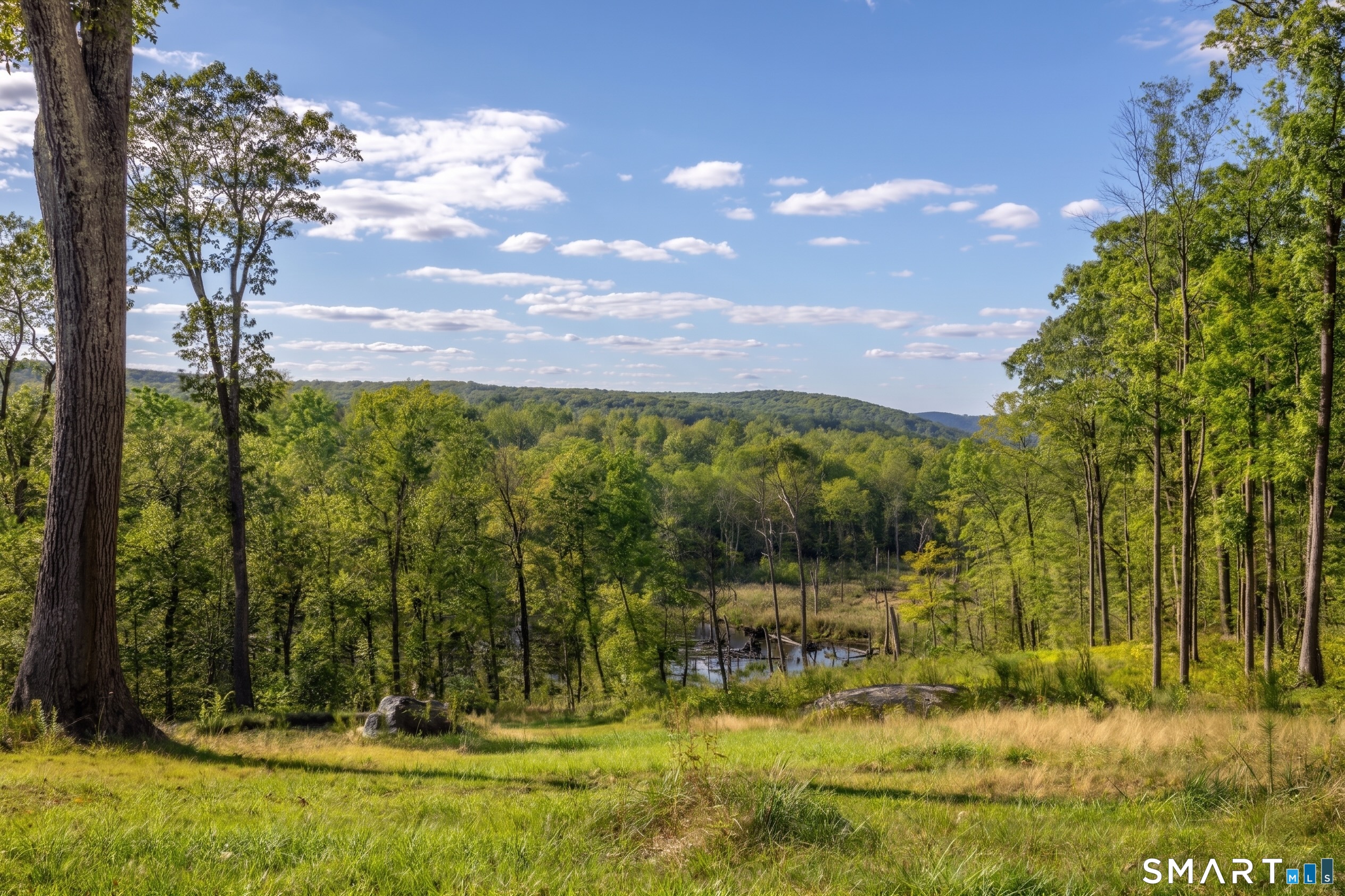 8 Bobcat Lane Warren, CT 06754 - Photo 20 of 40