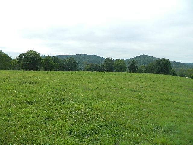 4351 Trinity Road Franklin, TN 37064 - Photo 1 of 10 a view of a field with an ocean