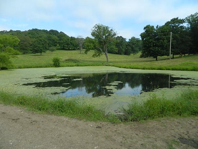 4351 Trinity Road Franklin, TN 37064 - Photo 7 of 10 a view of a golf course with a lake