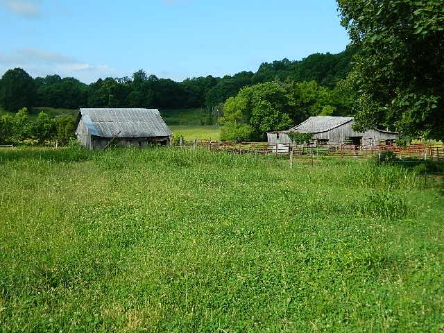 4351 Trinity Road Franklin, TN 37064 - Photo 8 of 10 a view of a back yard