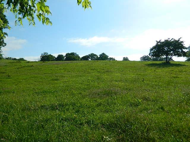 4351 Trinity Road Franklin, TN 37064 - Photo 9 of 10 a view of a lush green space
