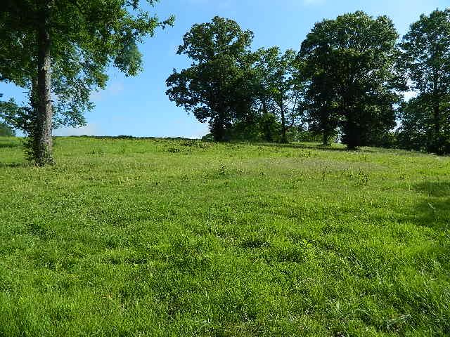 4351 Trinity Road Franklin, TN 37064 - Photo 10 of 10 a view of yard with green space