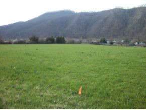 Lot # Love Station Road, Unit 6 Erwin, TN 37650 - Photo 2 of 2 Photo 2