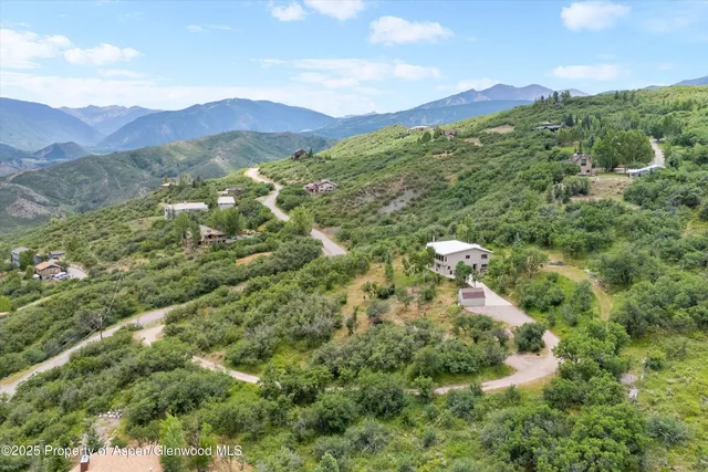 a view of a lush green forest with mountains in the background