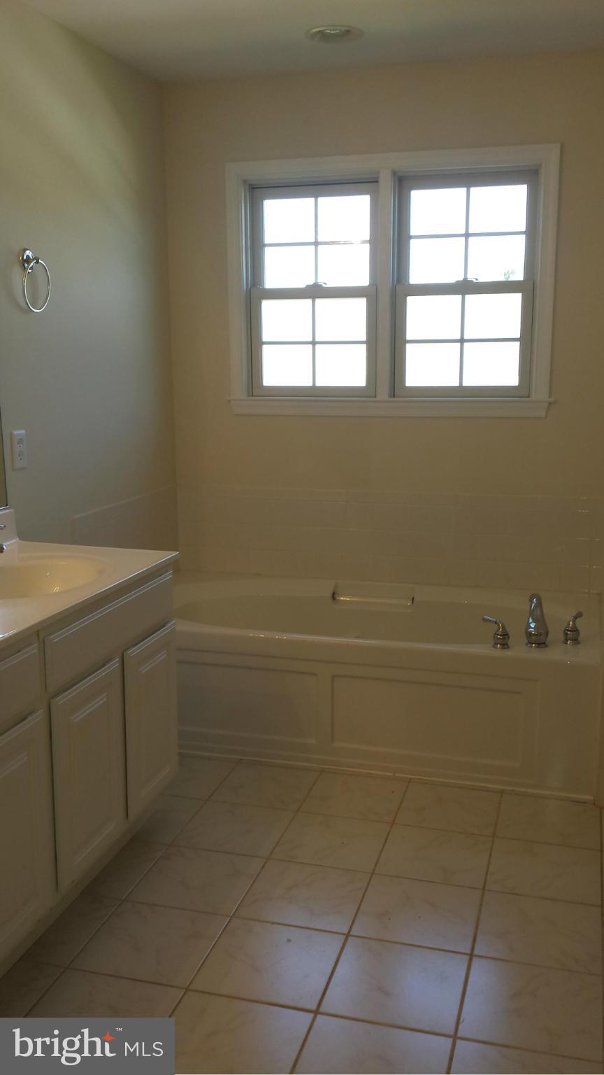 4 Rando Lane Rising Sun, MD 21911 - Photo 13 of 20 Bath (Master)