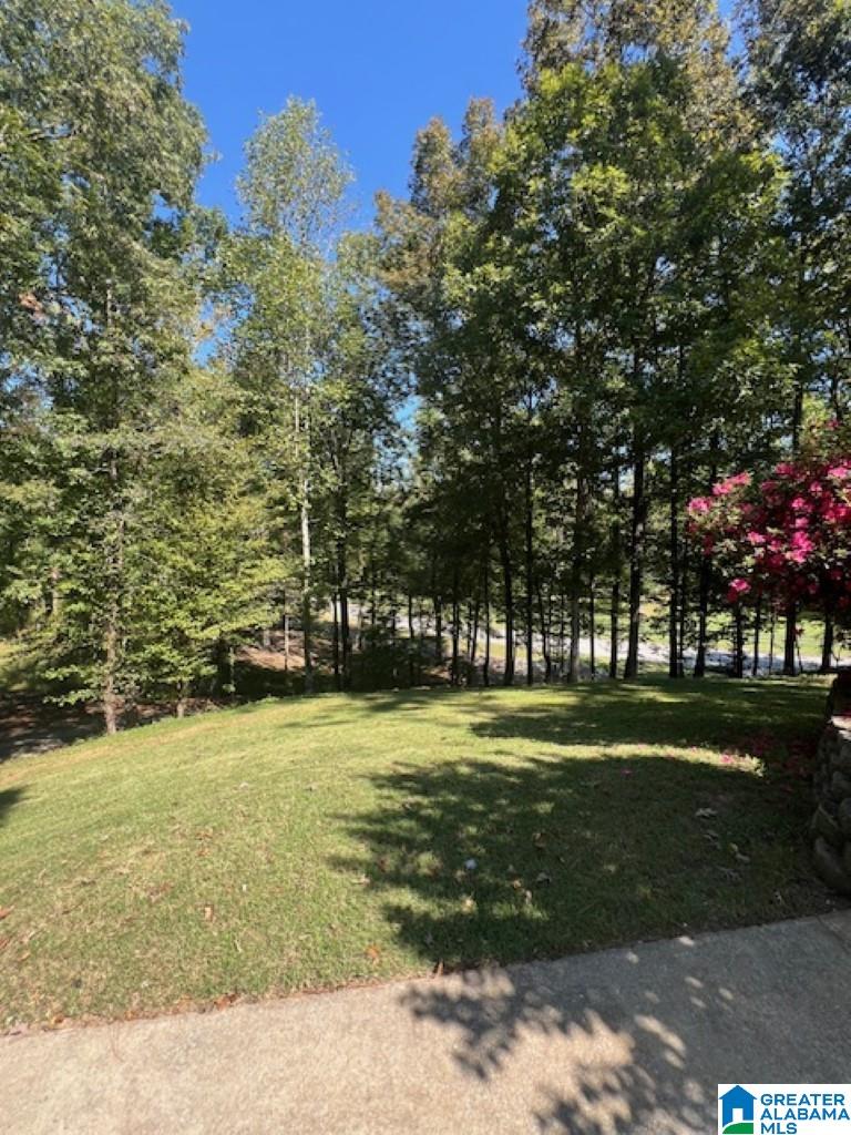 148 Quail Creek Road Helena, AL 35080 - Photo 4 of 49