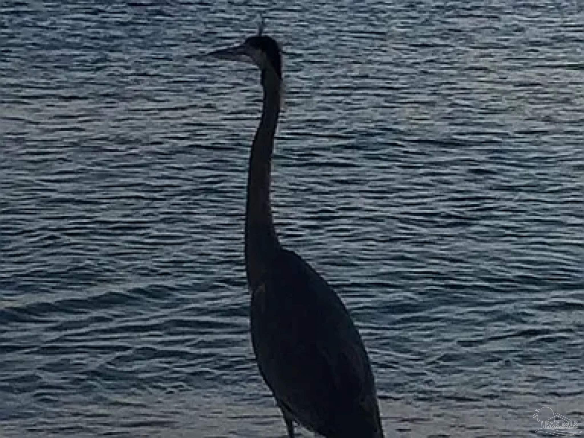 791 Dolphin Road Milton, FL 32583 - Photo 20 of 21