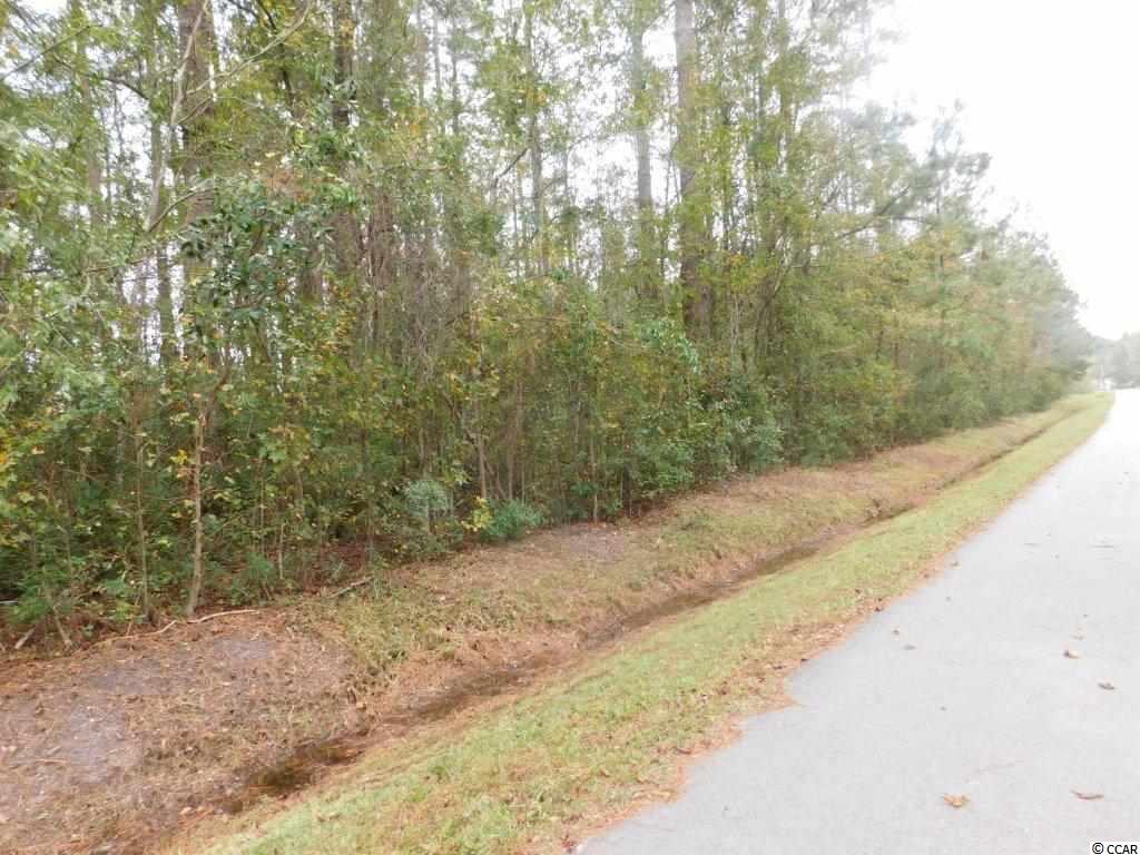 Lot 10 Manning Street Loris, SC 29569 - Photo 1 of 4 Gallery Image 1