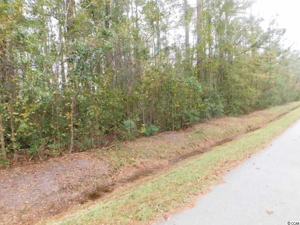Lot 10 Manning Street Loris, SC 29569 - Photo 2 of 4 Gallery Image 2