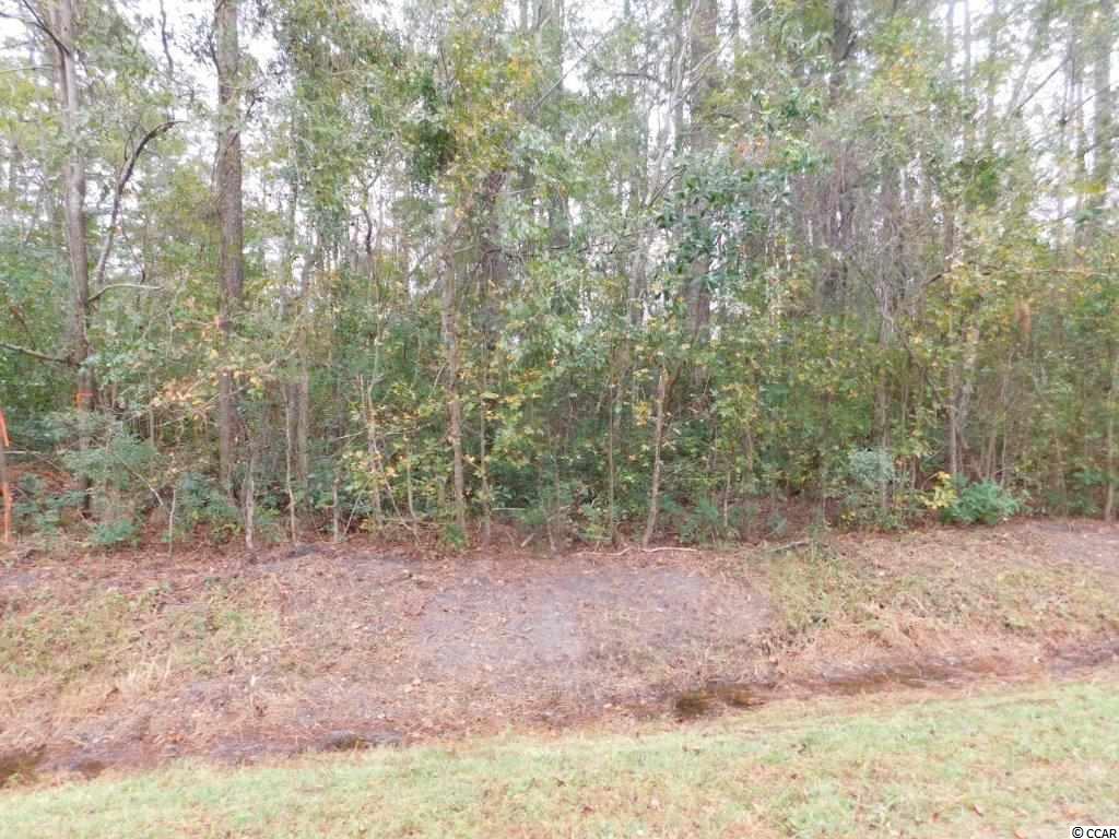 Lot 10 Manning Street Loris, SC 29569 - Photo 3 of 4 Gallery Image 3