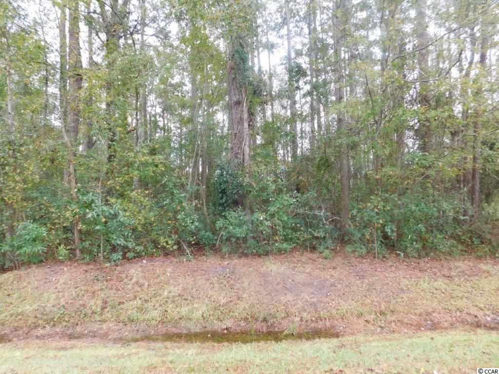 Lot 10 Manning Street Loris, SC 29569 - Photo 4 of 4 Gallery Image 4
