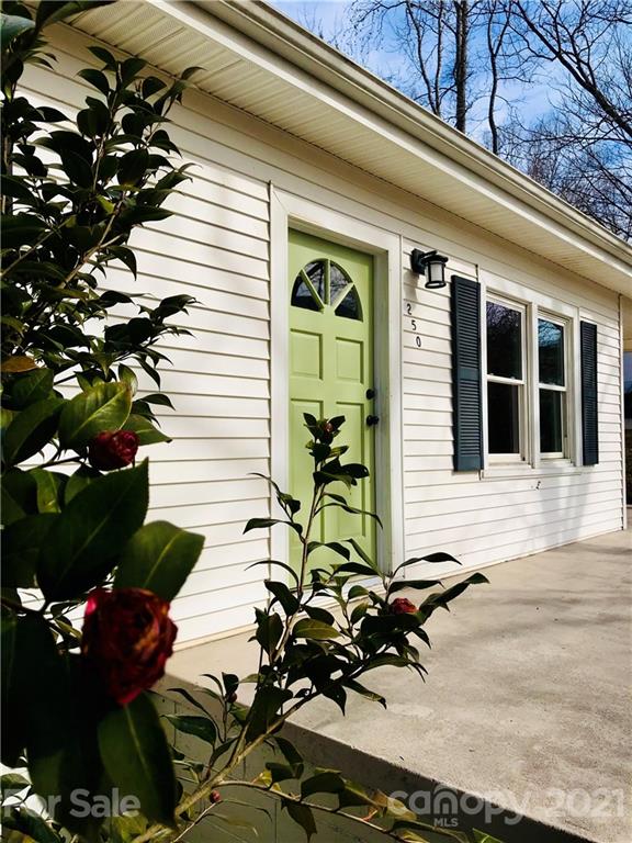 250 Tryon Road Rutherfordton, NC 28139 - Photo 6 of 38