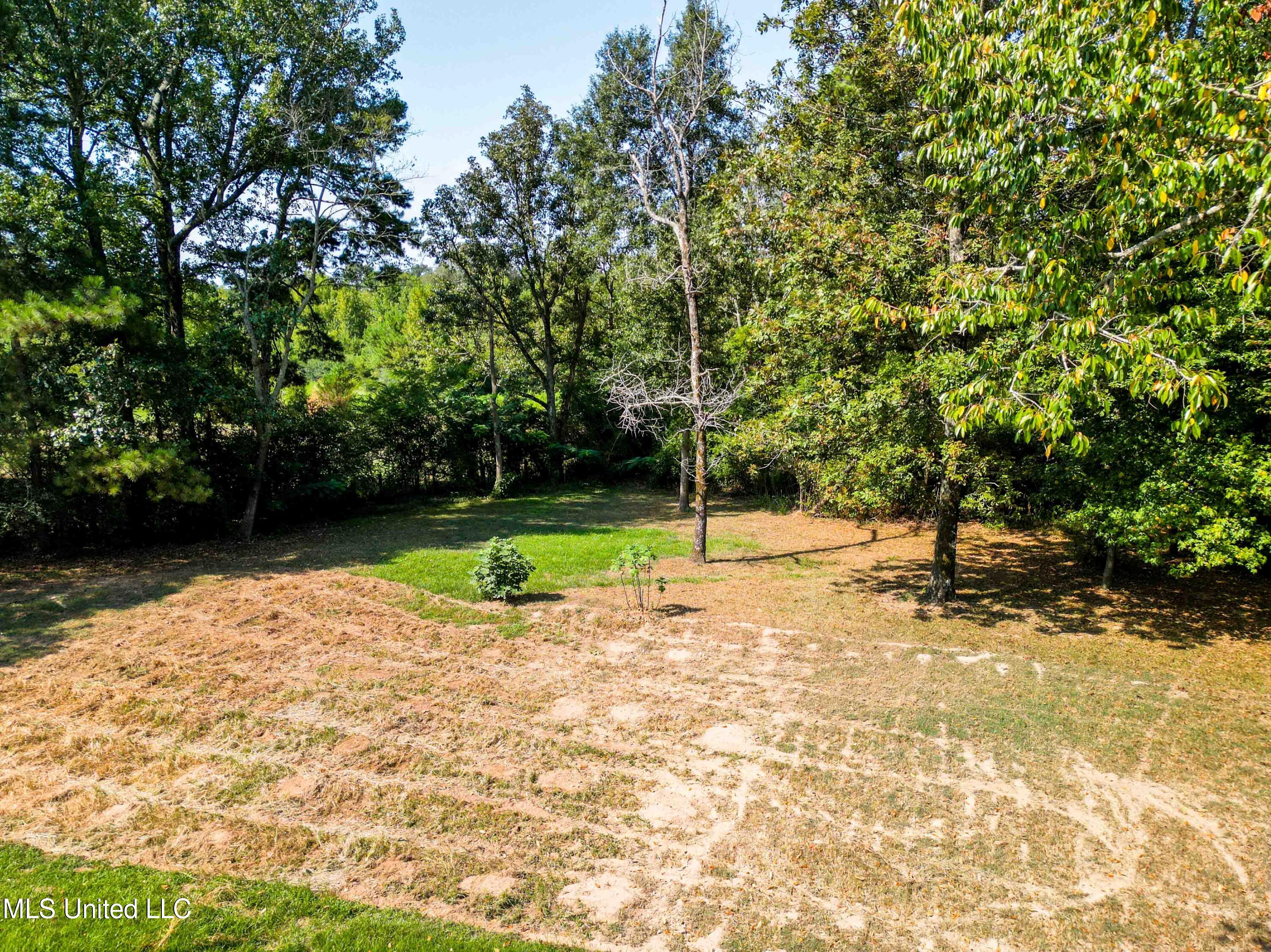 345 James Berry Road Mount Olive, MS 39119 - Photo 3 of 28 345_JamesBerryRd_Magee-27