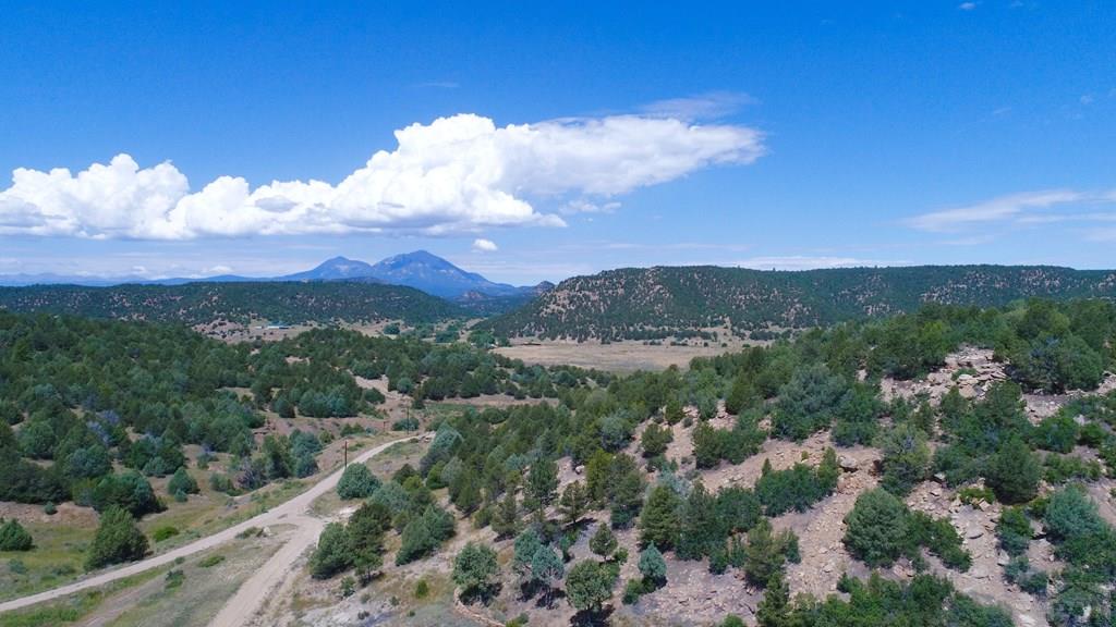 25850 River Pines Road Aguilar, CO 81020 - Photo 54 of 64