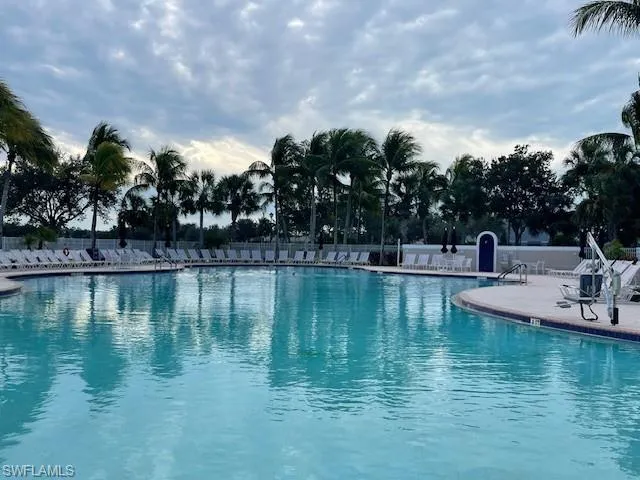 a view of a park with palm trees