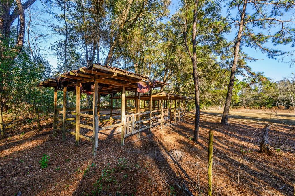 13076 Southwest 154th Street Archer, FL 32618 - Photo 46 of 60 a view of a patio with table and chairs under an umbrella with large trees