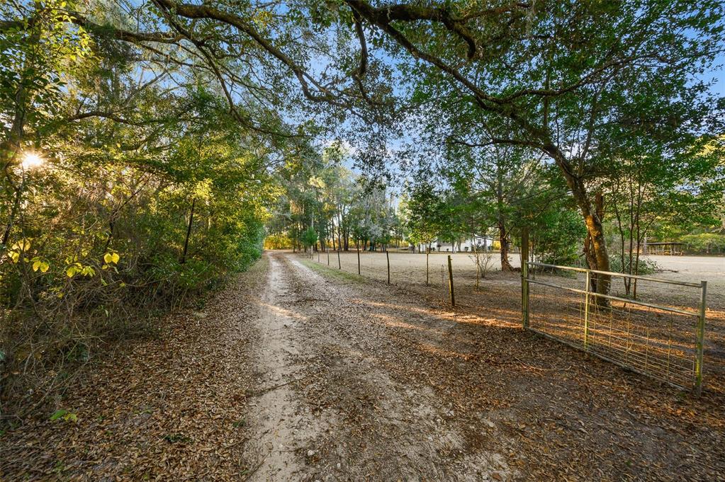 13076 Southwest 154th Street Archer, FL 32618 - Photo 49 of 60 a view of a forest with trees