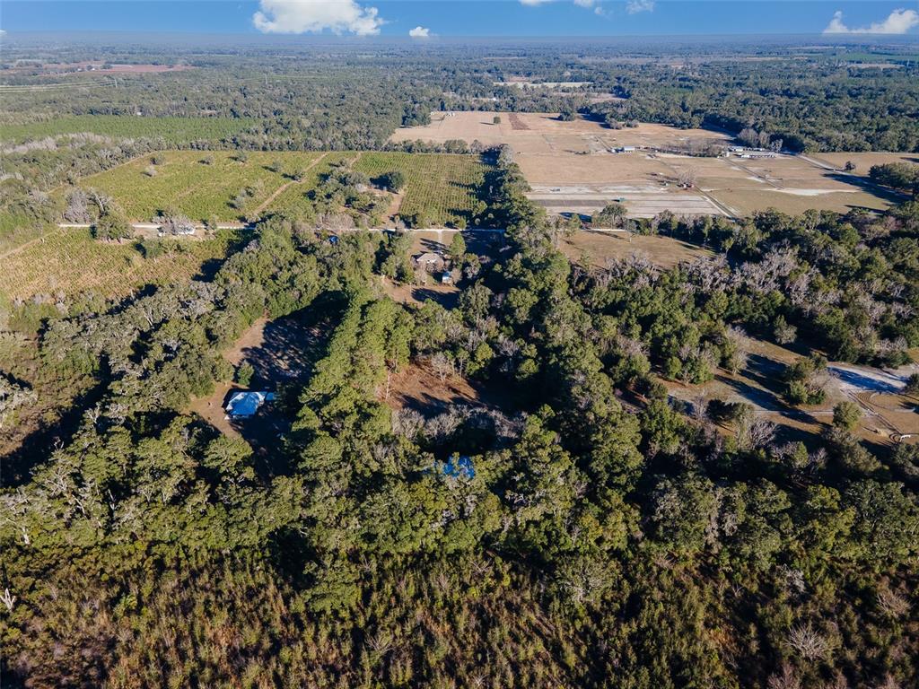 13076 Southwest 154th Street Archer, FL 32618 - Photo 53 of 60