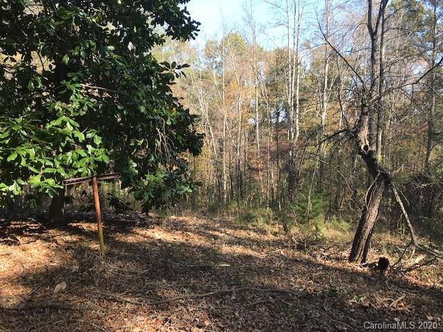 352 Bennett Road Rutherfordton, NC 28139 - Photo 2 of 6