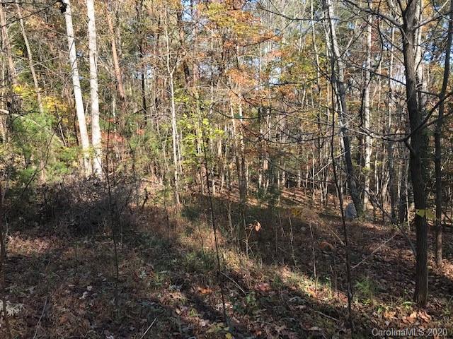 352 Bennett Road Rutherfordton, NC 28139 - Photo 3 of 6