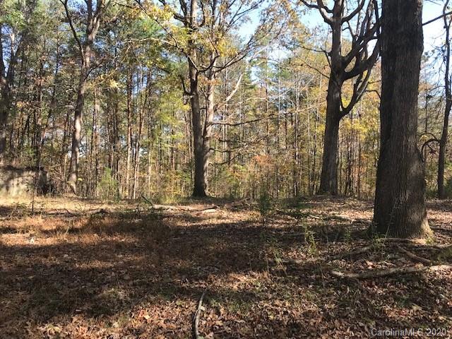 352 Bennett Road Rutherfordton, NC 28139 - Photo 5 of 6