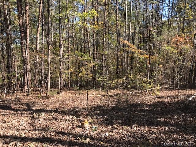 352 Bennett Road Rutherfordton, NC 28139 - Photo 6 of 6