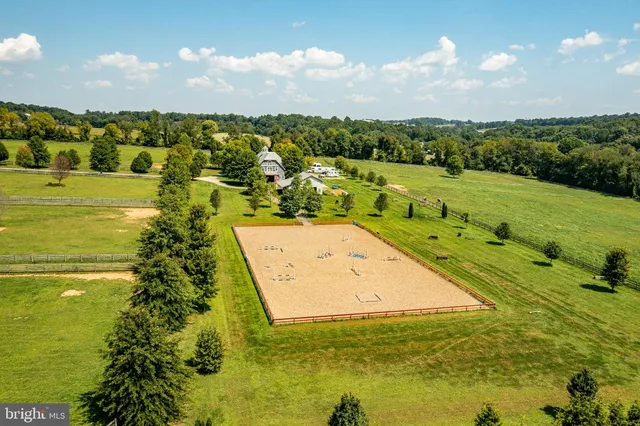 a view of backyard with green space