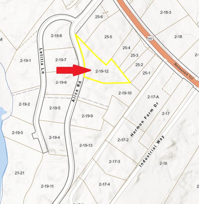 34 Alice Road Casco, ME 04015 - Photo 2 of 2 Tax Map