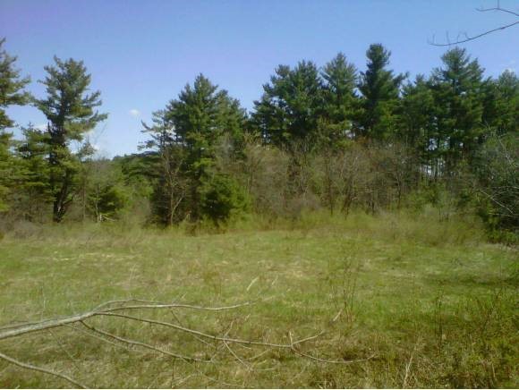 36-2 Richardson Road Hollis, NH 03049 - Photo 4 of 4