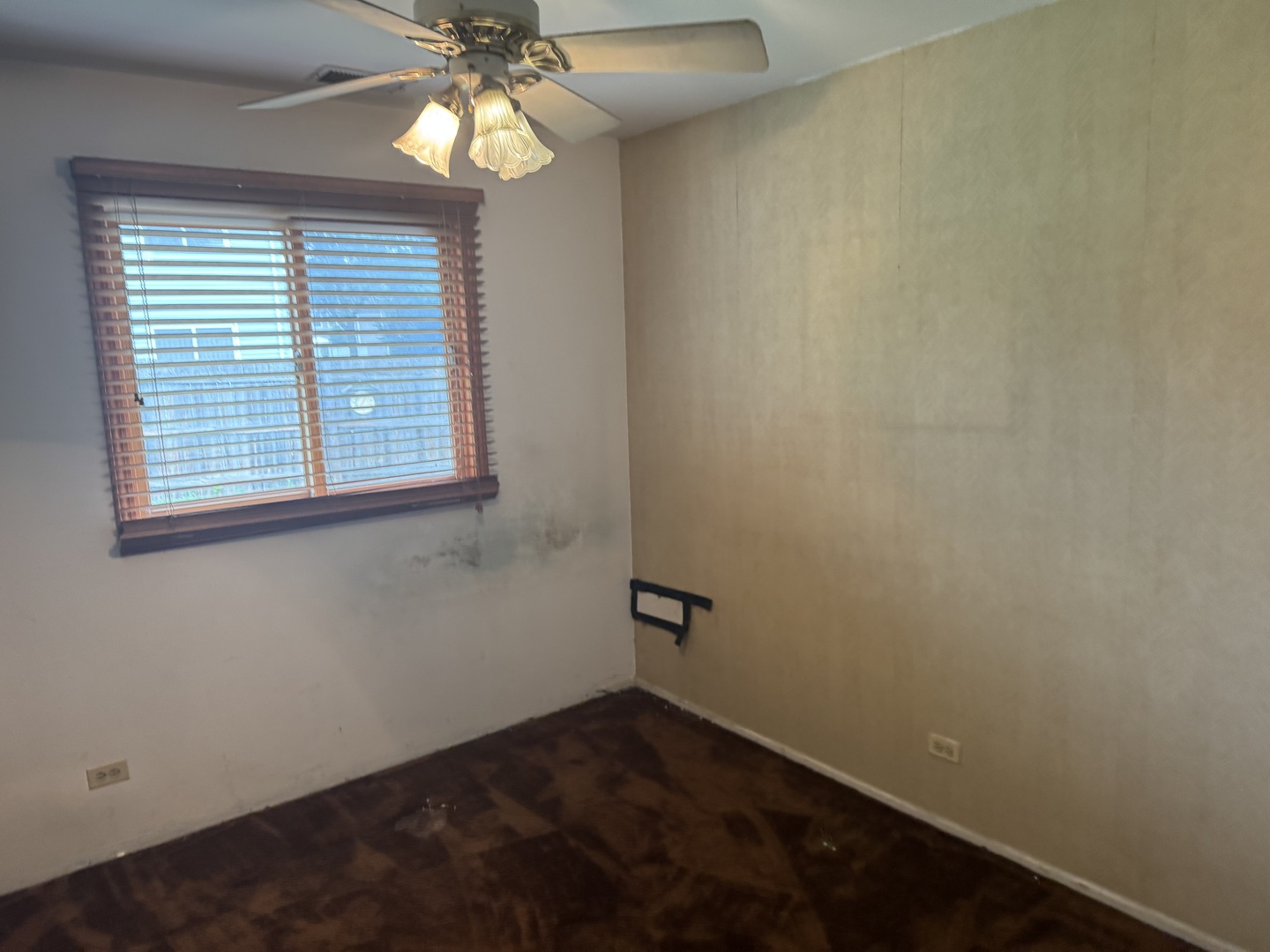 662 Berwick Place Roselle, IL 60172 - Photo 13 of 19