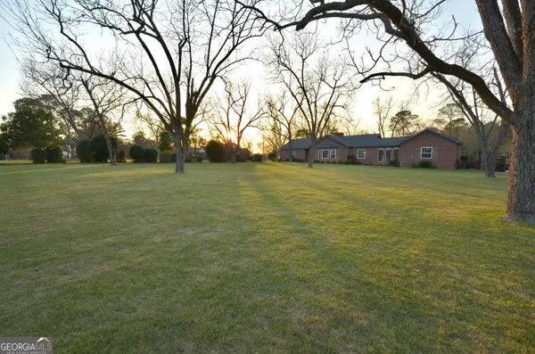 a view of a street with a small yard and a large tree