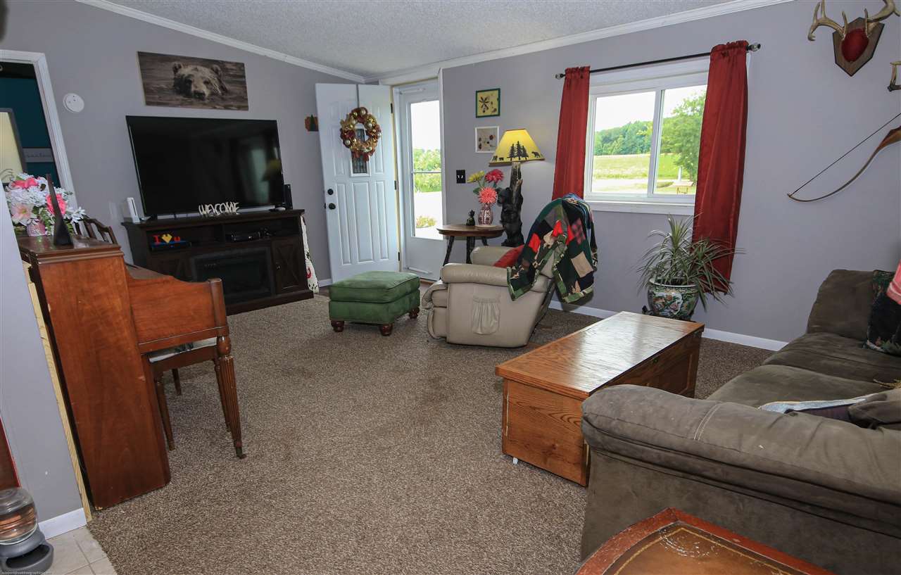 5240 North Lewis Road Coleman, MI 48618 - Photo 10 of 30